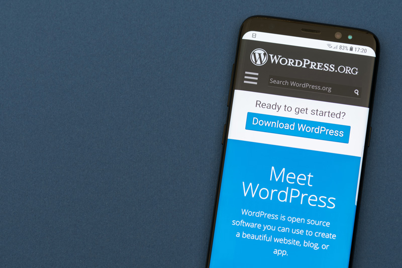 WordPress is a free and very powerful content management system.
