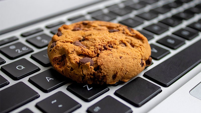 Cookies sind kleine Dateien, die ein Web Server übermittelt, ohne dass es der Besucher einer Webseite wahrnimmt.
