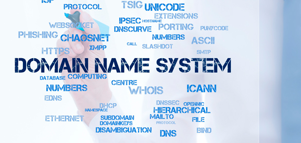 GoDady DNS System